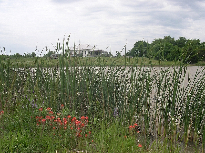 PERMACULTURE DESIGN CERTIFICATION COURSE - No TX - Sep 25-Oct 9, 2010 House & Pond. - smaller than half-size.jpg